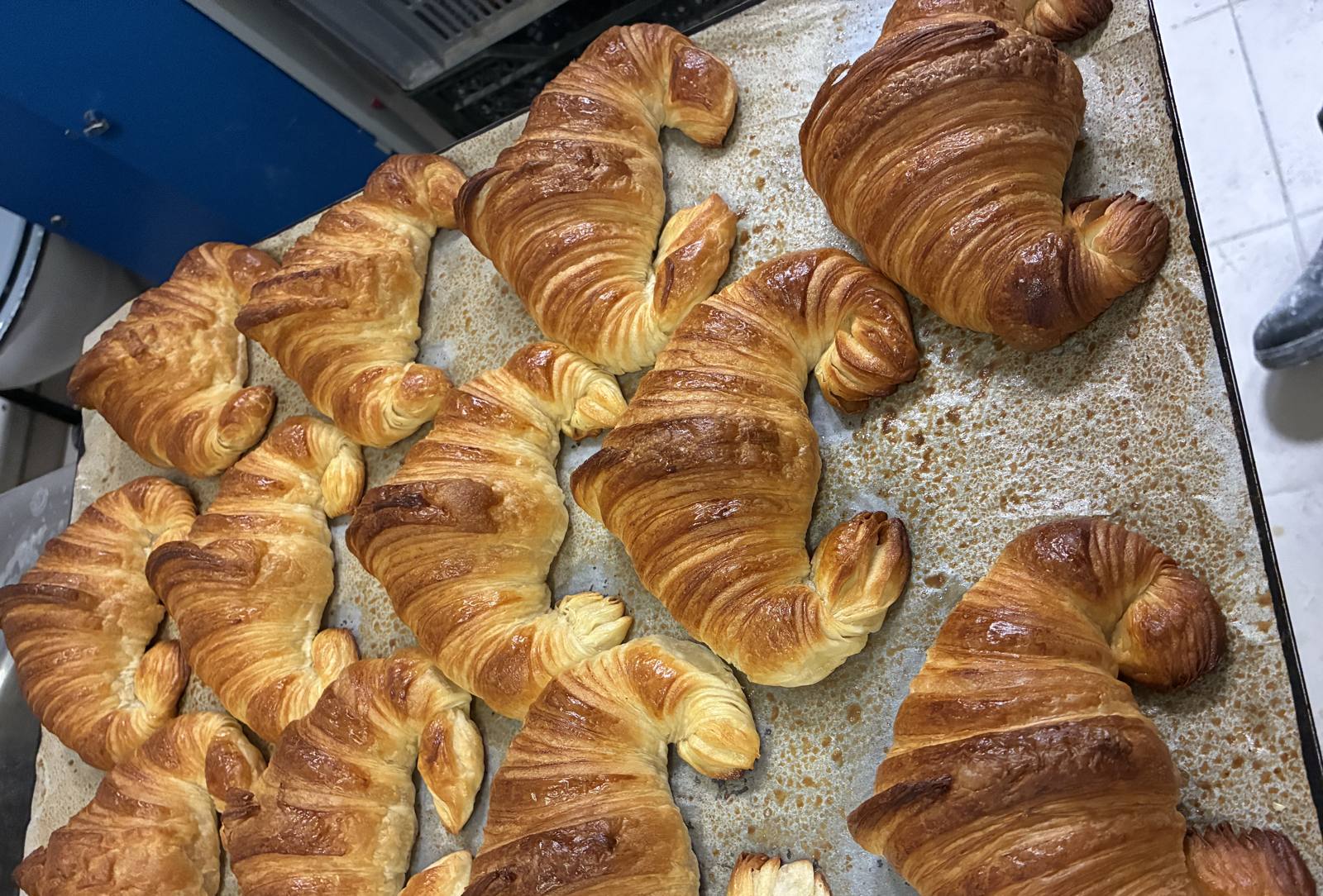 Plaque de croissants pur beurre dorés, sortis du four
