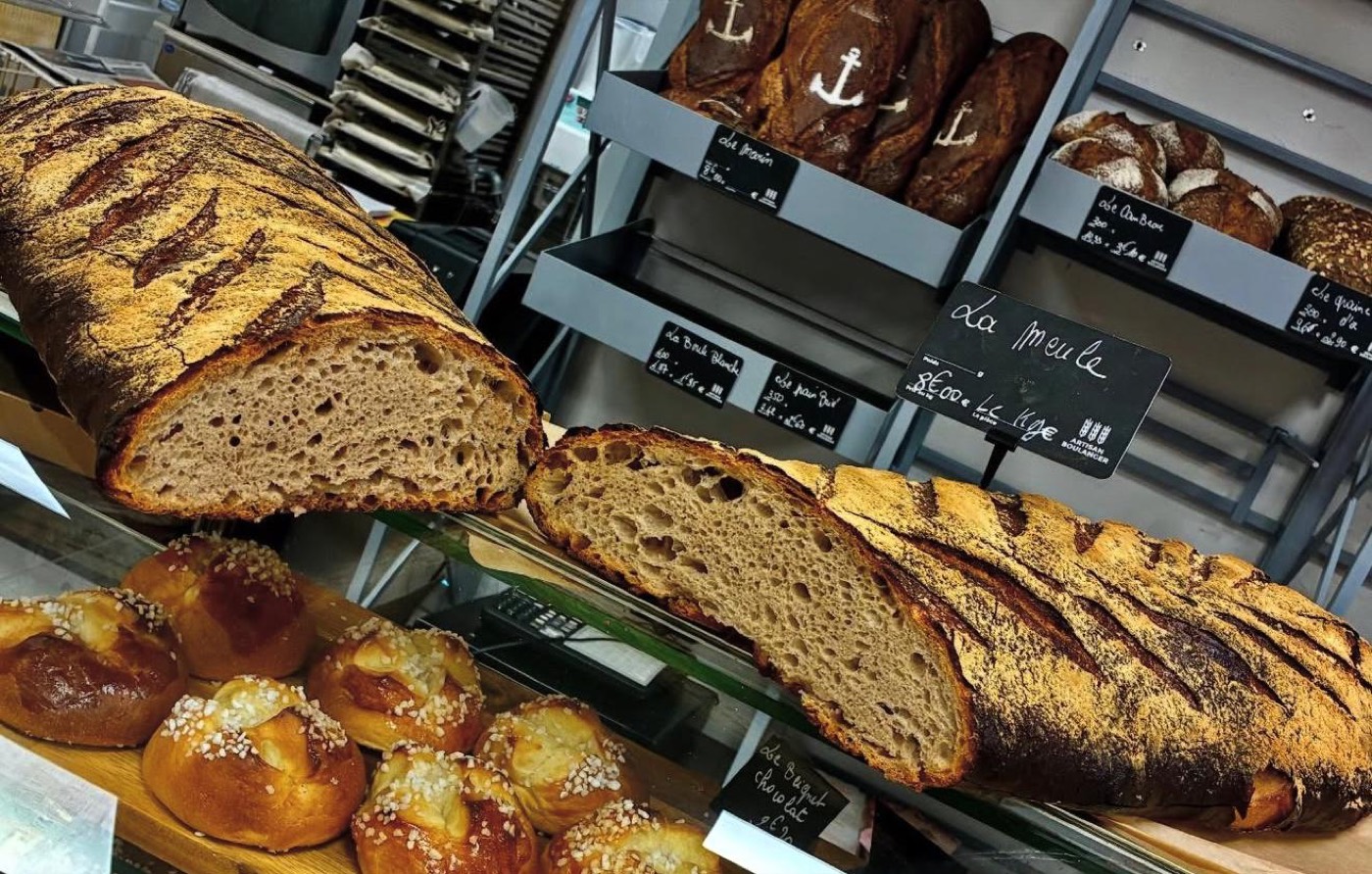 Grandes miches de pain de campagne bio tranchées, croûte scarifiée et mie alvéolée